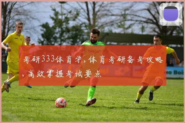 考研333体育学,体育考研备考攻略,高效掌握考试要点